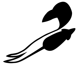 rats and ravens store