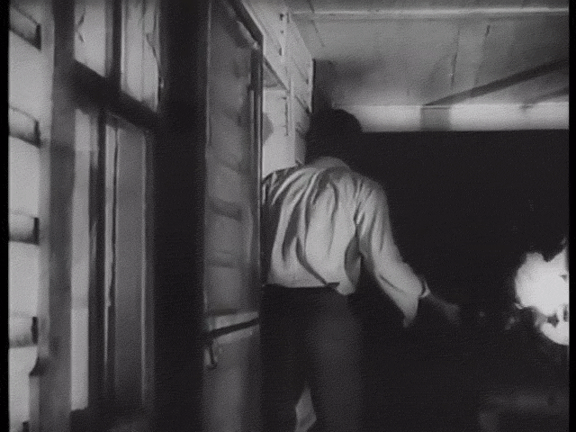 Nignt of the Living Dead Cinemagraph