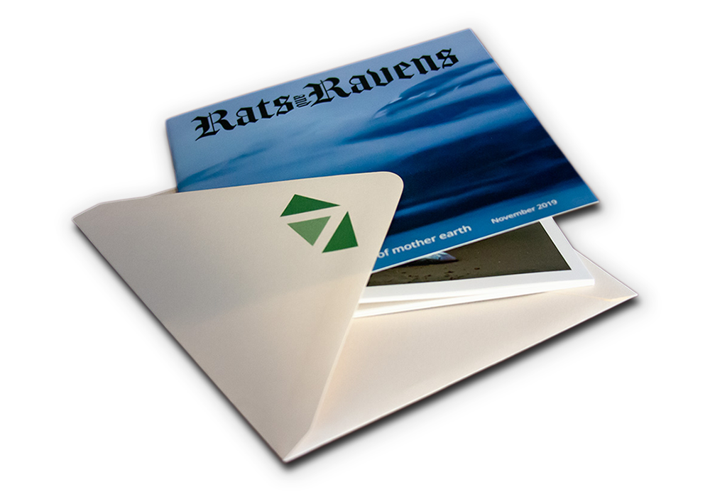 Rats & Ravens Zine